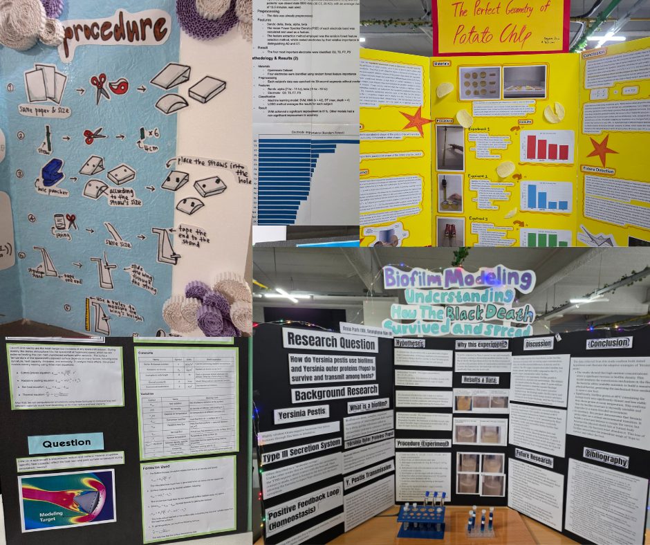 A collection of ICS Capstone research posters: a procedure diagram, &lsquo;The Perfect Geometry of Potato Chip&rsquo;, biofilm modeling of plague transmission, and a mathematical modeling project.